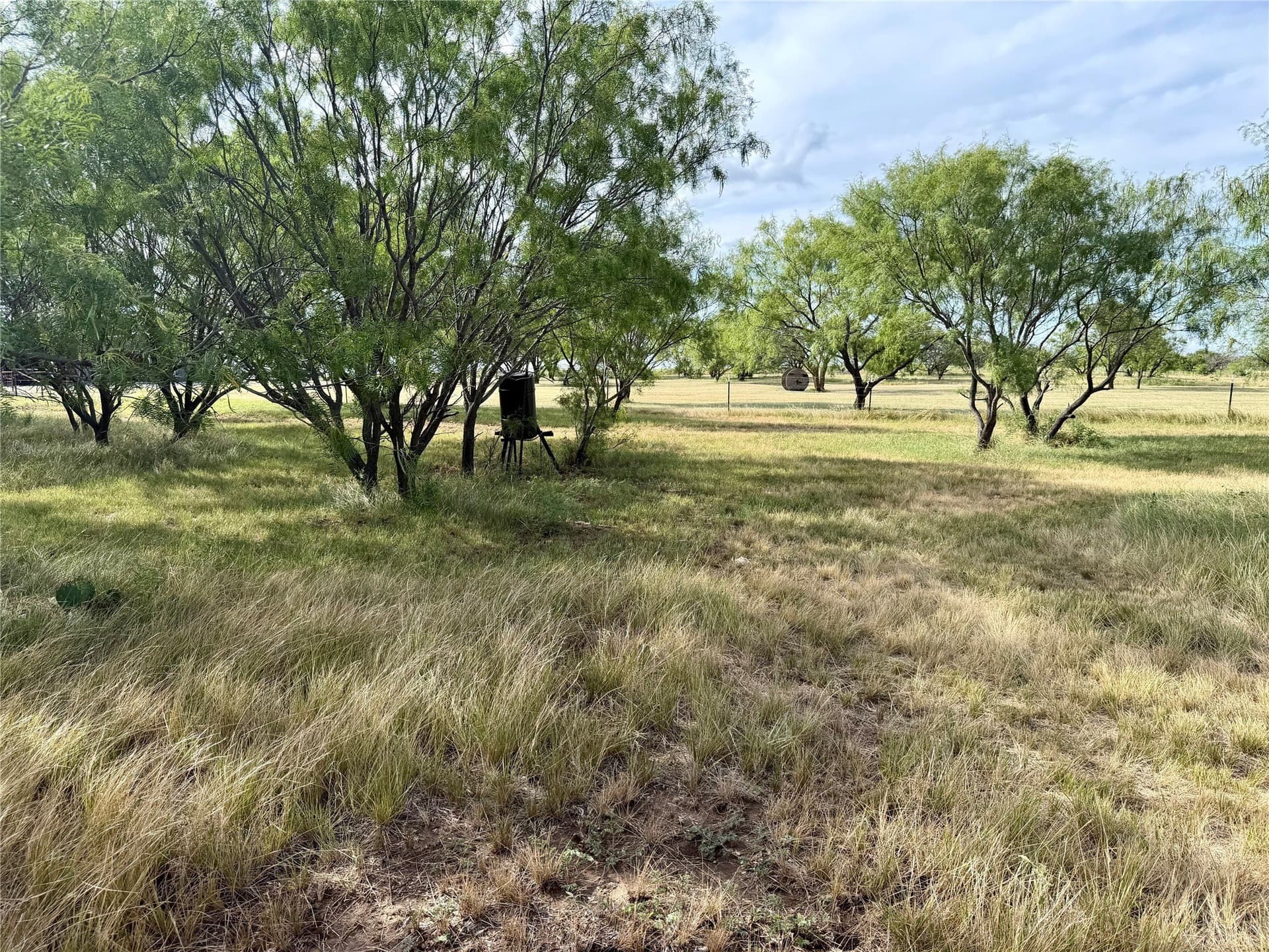 59.9 acres in Archer County - photo 26
