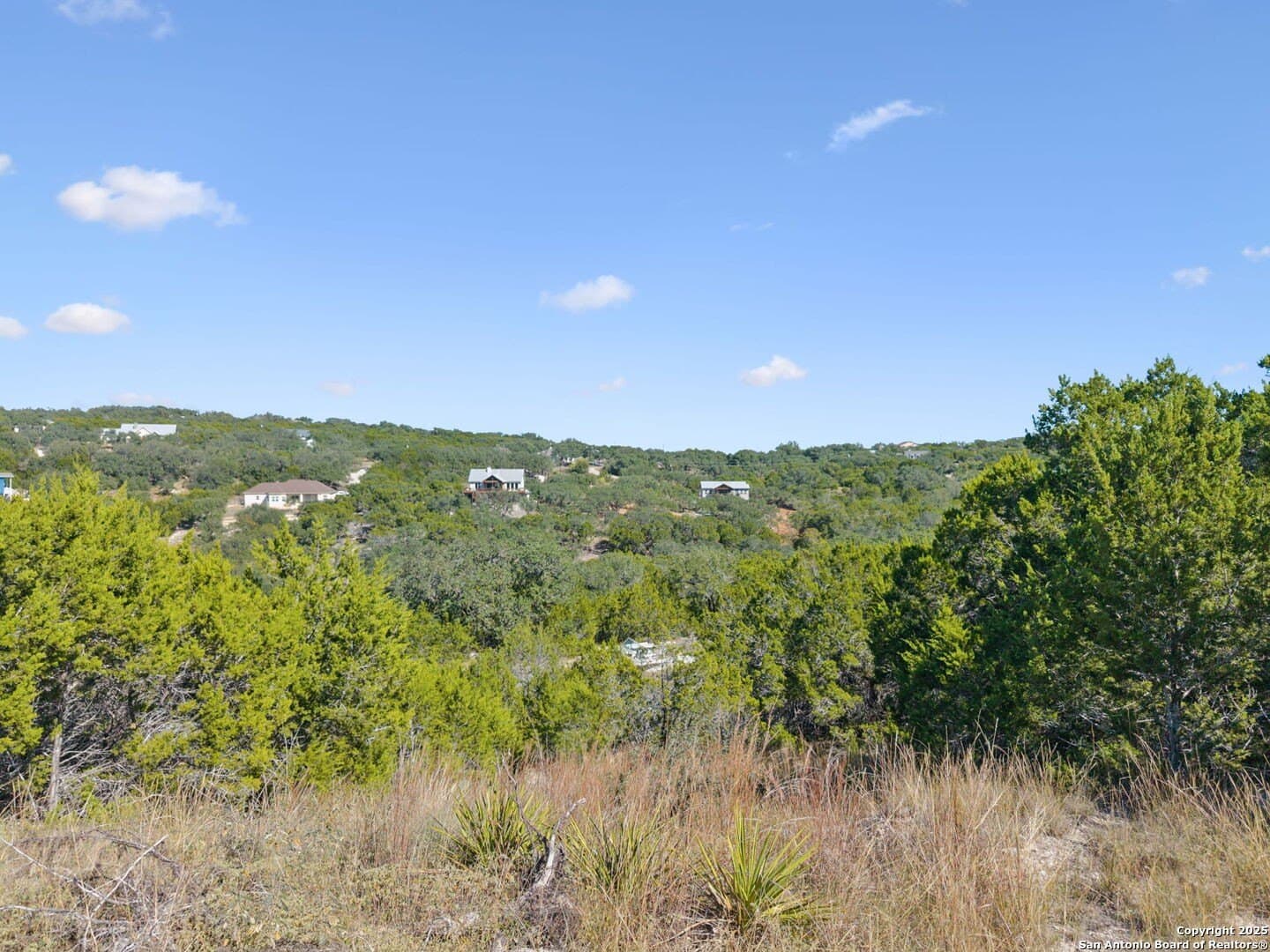 1.3 acres in Comal County gallery image 4