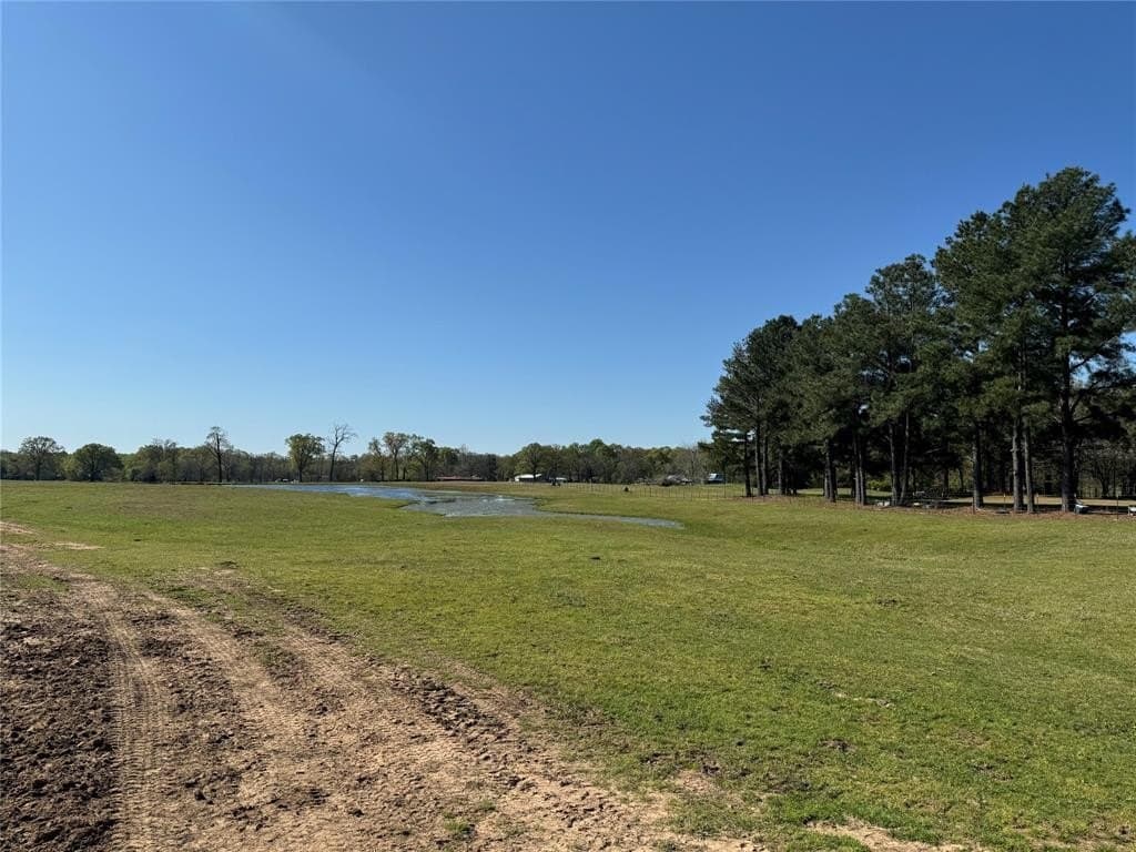 24.5 acres in Lamar County gallery image 3