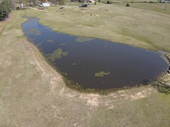 24.5 acres in Lamar County gallery image 2