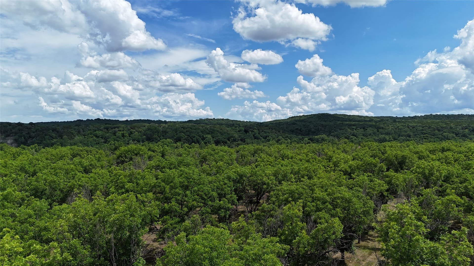 3.01 acres in Johnson County - photo 14