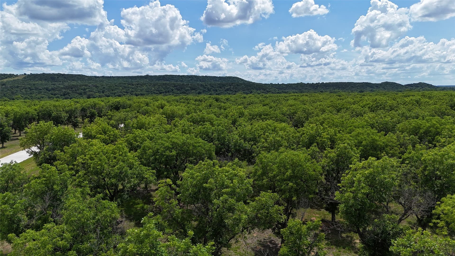 3.01 acres in Johnson County - photo 10