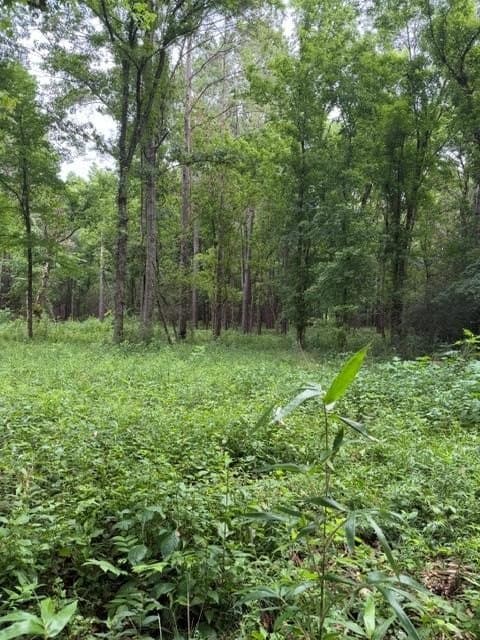 263.61 acres in Texas County - photo 60