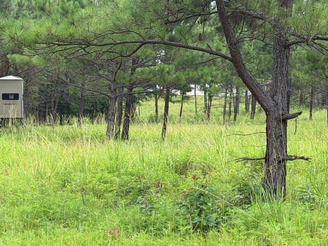 263.61 acres in Texas County - photo 46