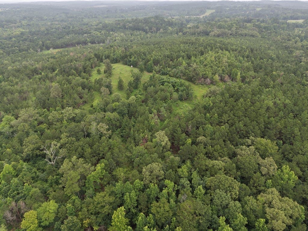 263.61 acres in Texas County - photo 14