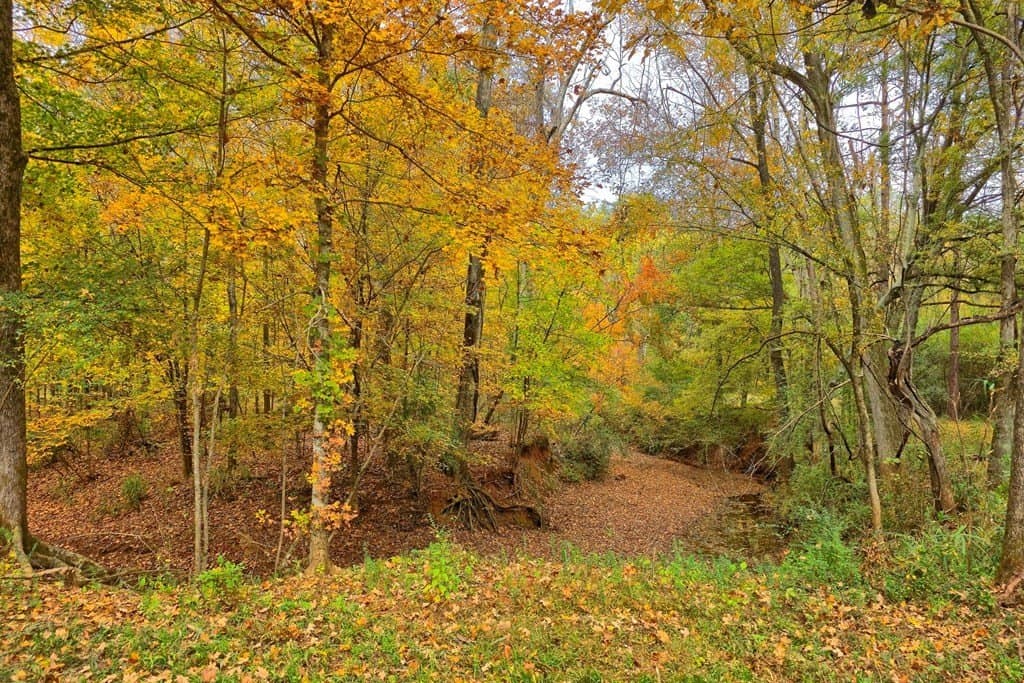 263.61 acres in Texas County - photo 34