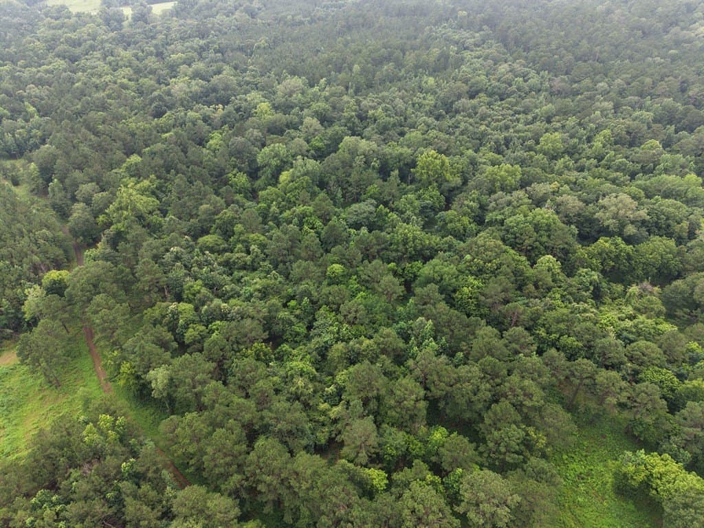 263.61 acres in Texas County gallery image 3