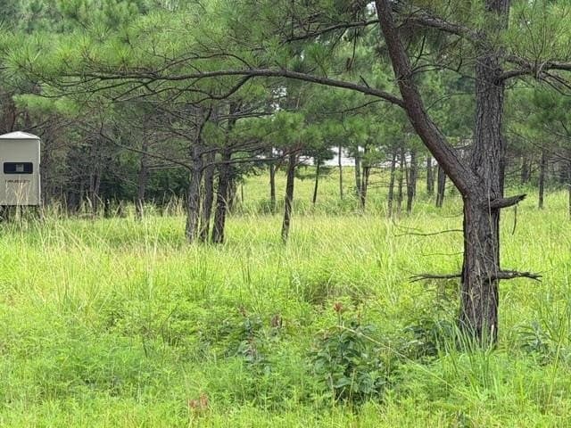 263.61 acres in Texas County - photo 57