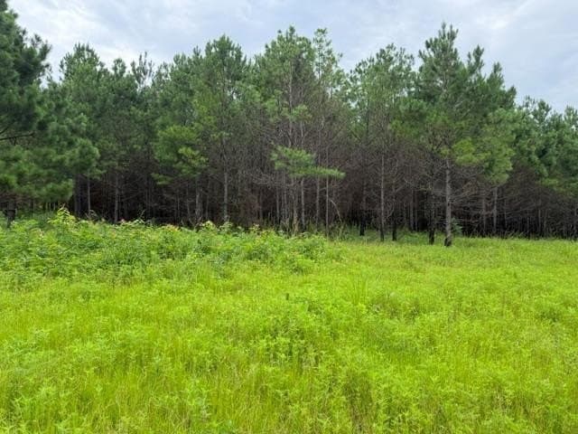 263.61 acres in Texas County - photo 58