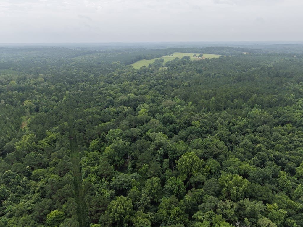 263.61 acres in Texas County - photo 8