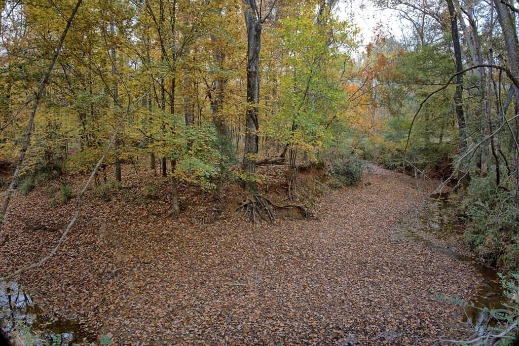 263.61 acres in Texas County - photo 39