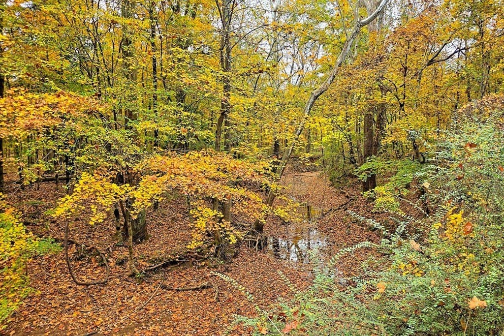 263.61 acres in Texas County - photo 37