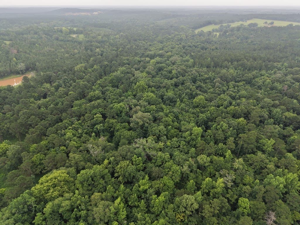 263.61 acres in Texas County featured view