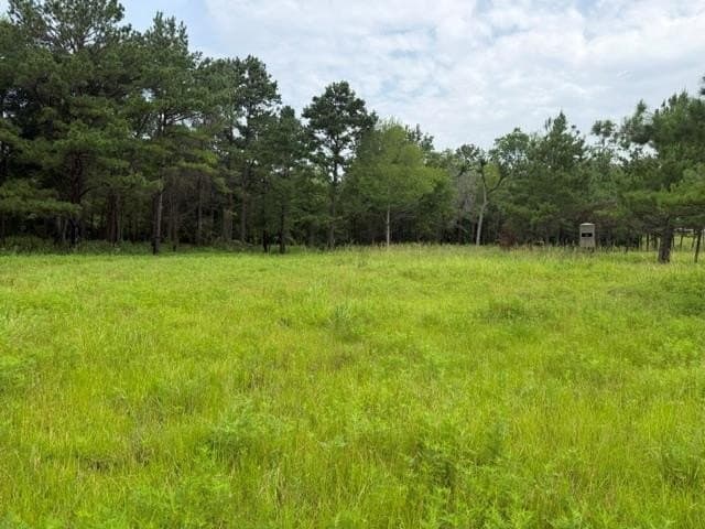 263.61 acres in Texas County - photo 59
