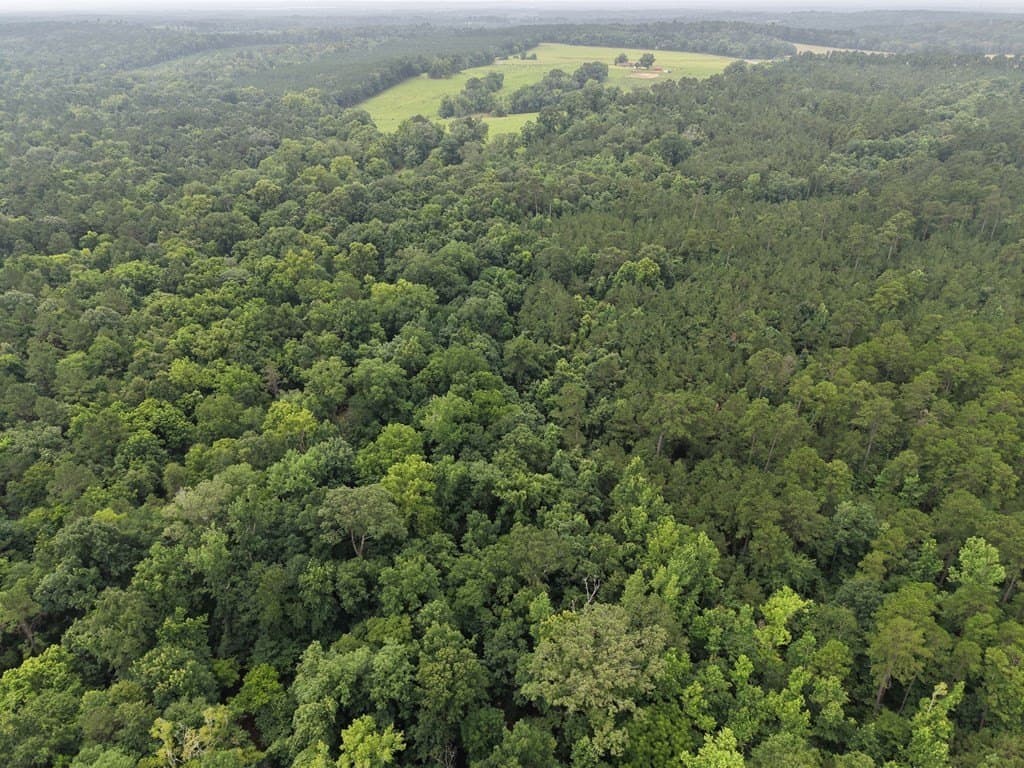 263.61 acres in Texas County - photo 9