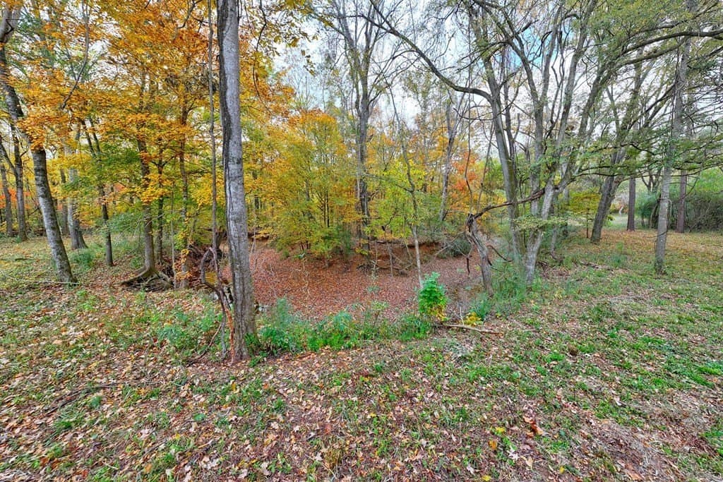 263.61 acres in Texas County - photo 40