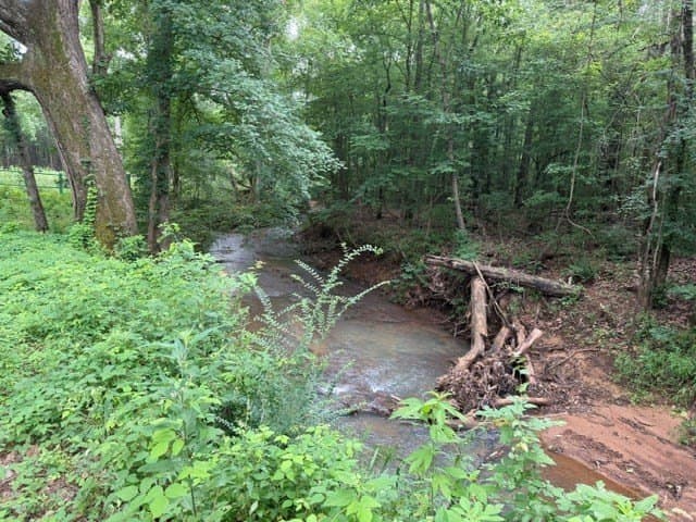 263.61 acres in Texas County - photo 43