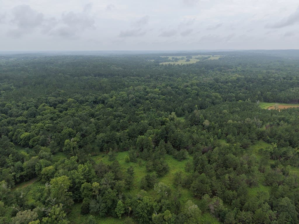 263.61 acres in Texas County - photo 15