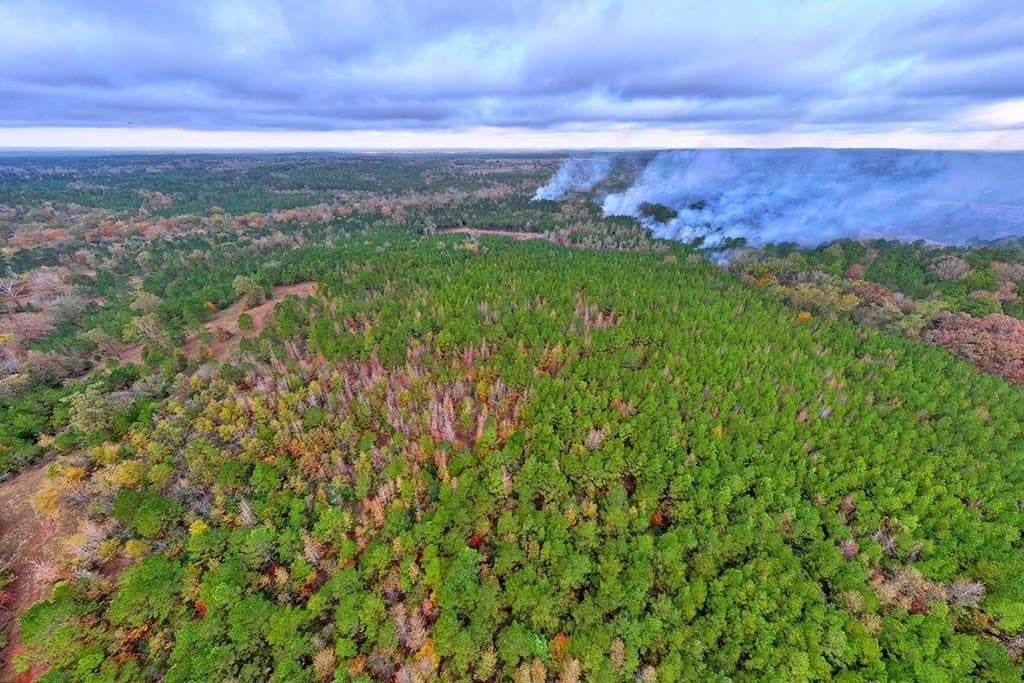 263.61 acres in Texas County - photo 41