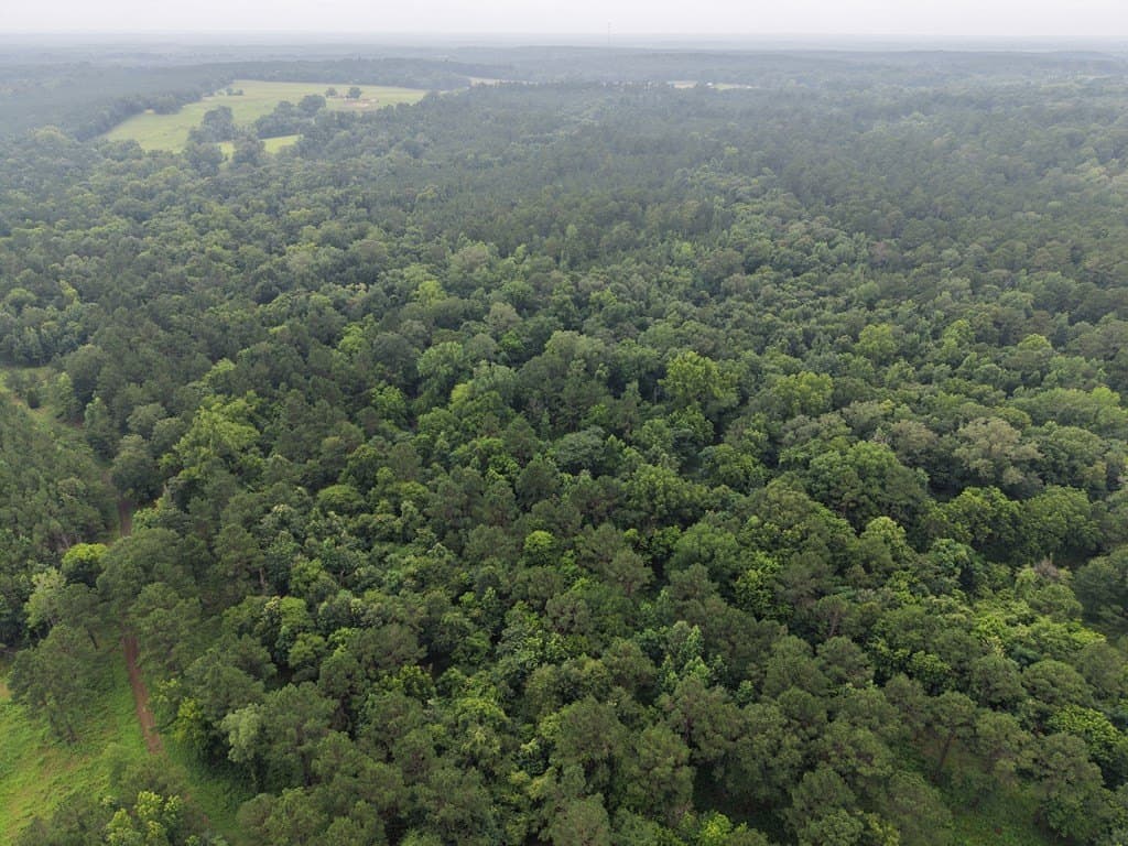 263.61 acres in Texas County gallery image 4