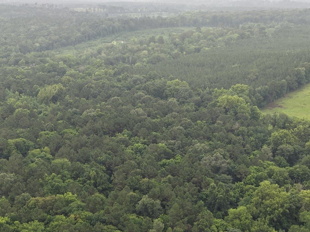 263.61 acres in Texas County - photo 7