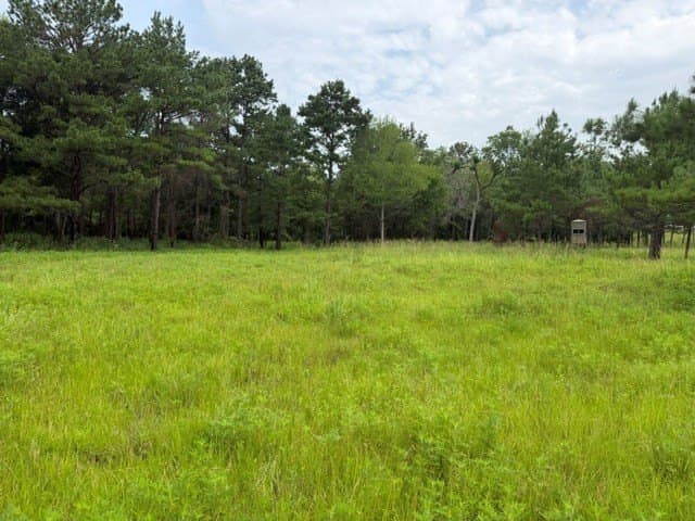 263.61 acres in Texas County - photo 48