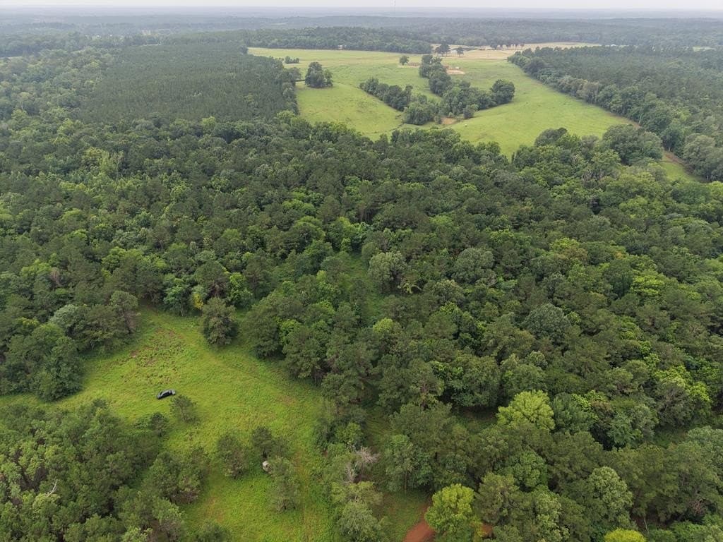 263.61 acres in Texas County - photo 53