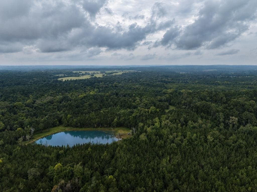 263.61 acres in Texas County - photo 52