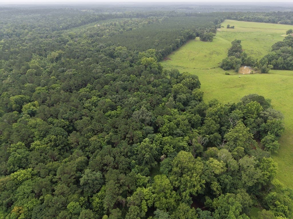 263.61 acres in Texas County - photo 10