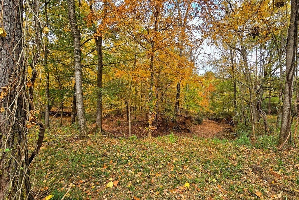 263.61 acres in Texas County - photo 35