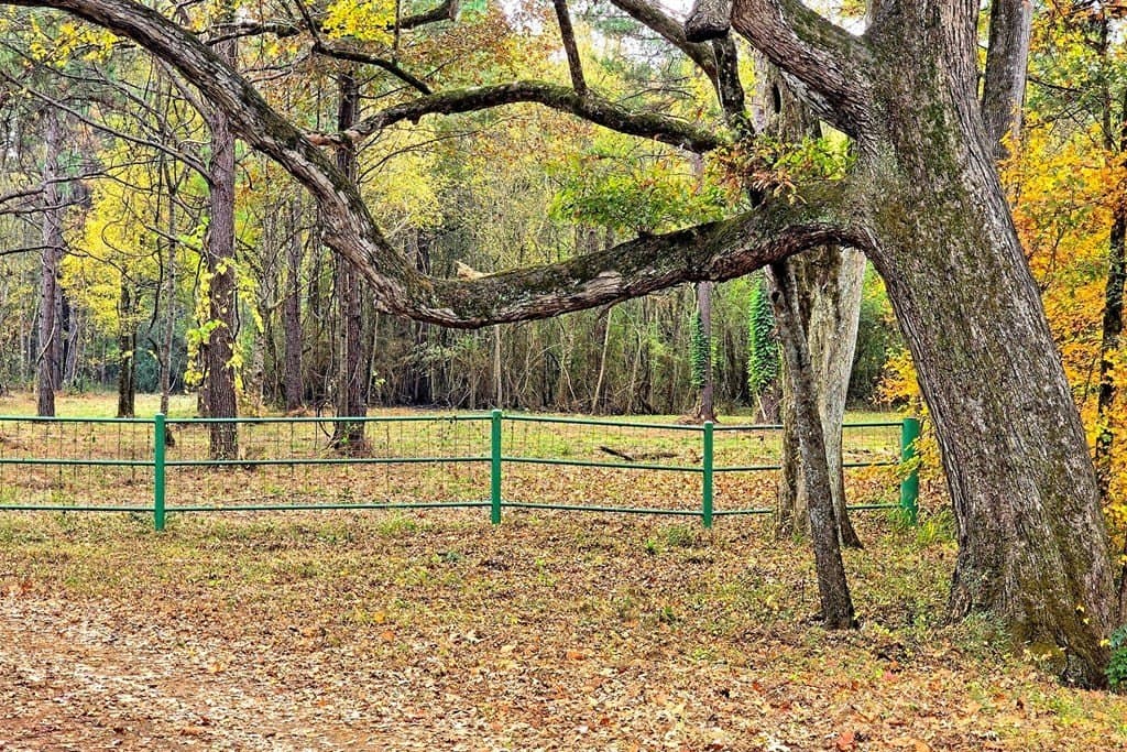 263.61 acres in Texas County - photo 38