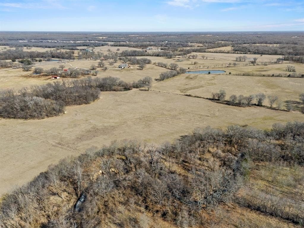 43 acres in Rains County gallery image 4