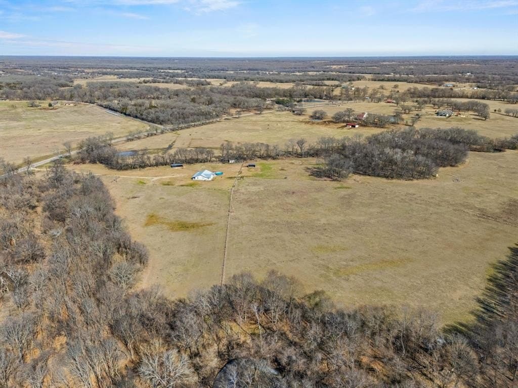 43 acres in Rains County gallery image 3