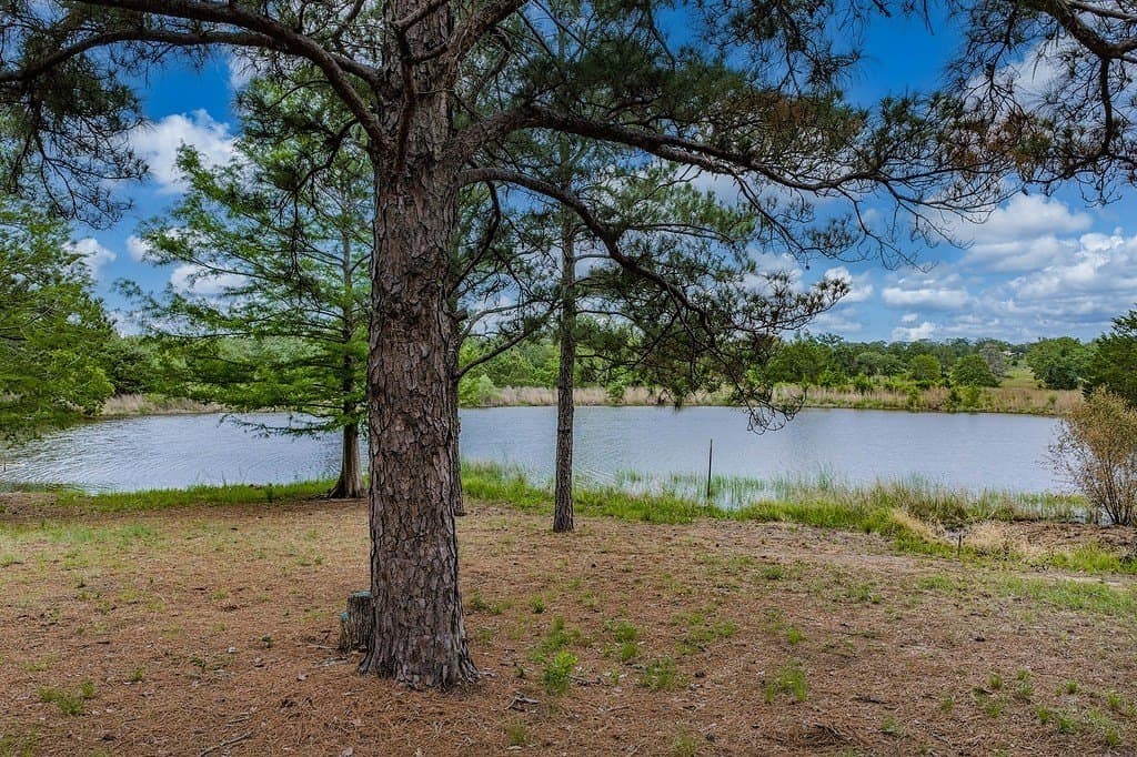 5 acres in Washington County gallery image 3