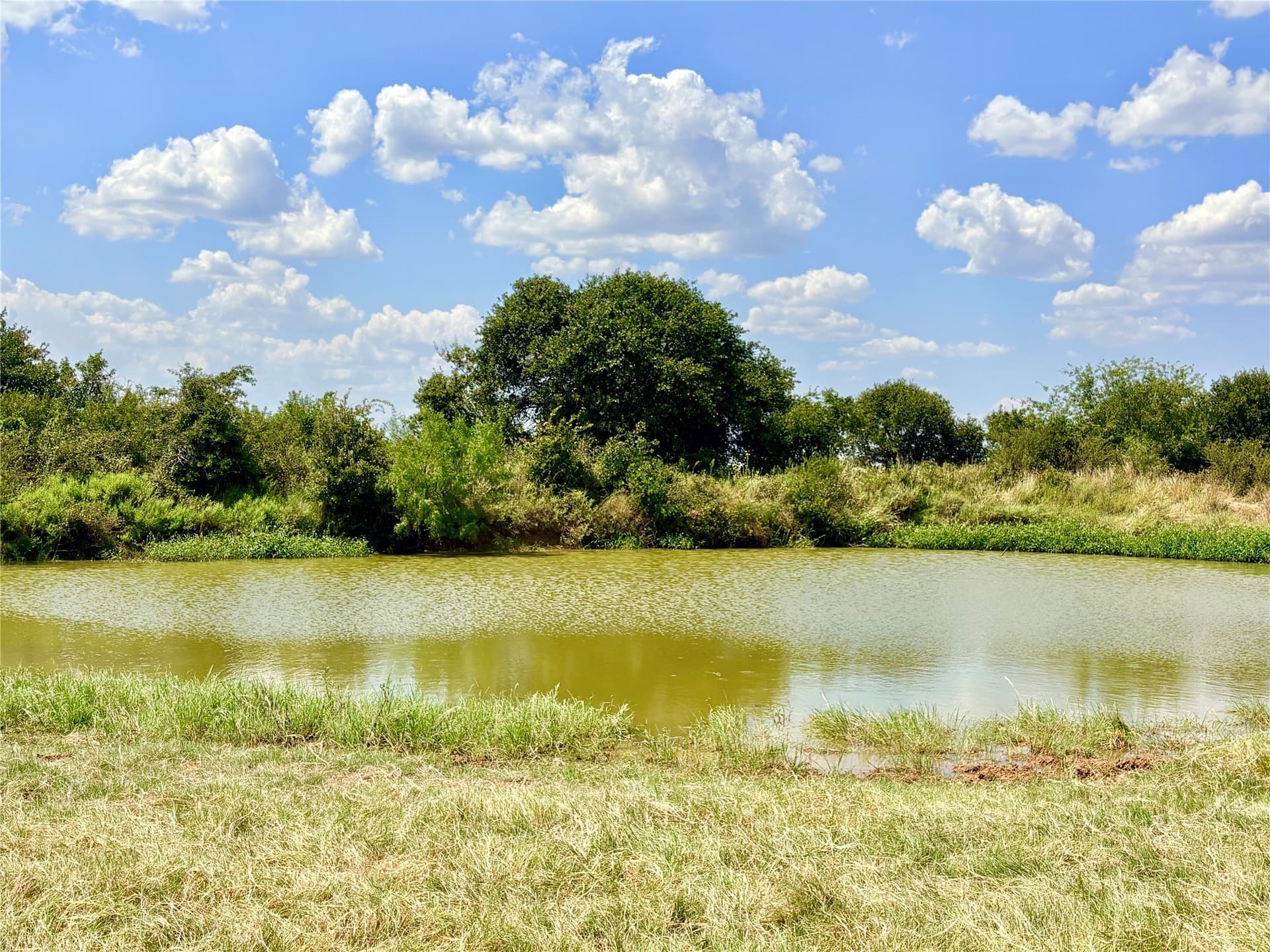 80 acres in Eastland County - photo 14
