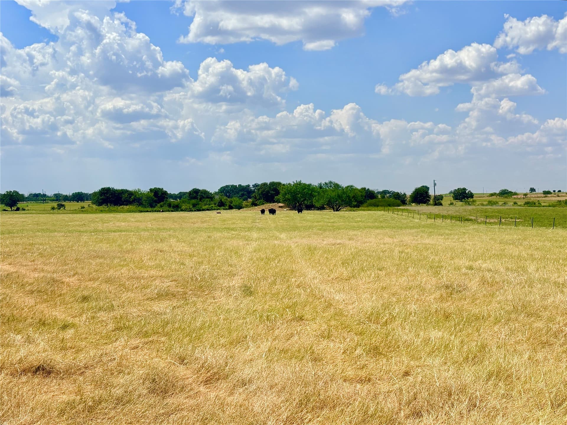 80 acres in Eastland County - photo 15