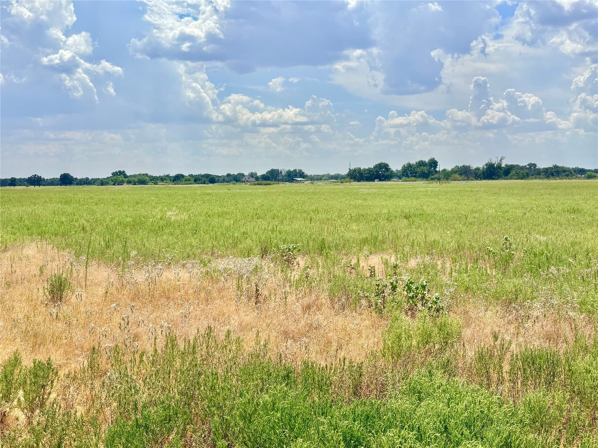 80 acres in Eastland County - photo 17
