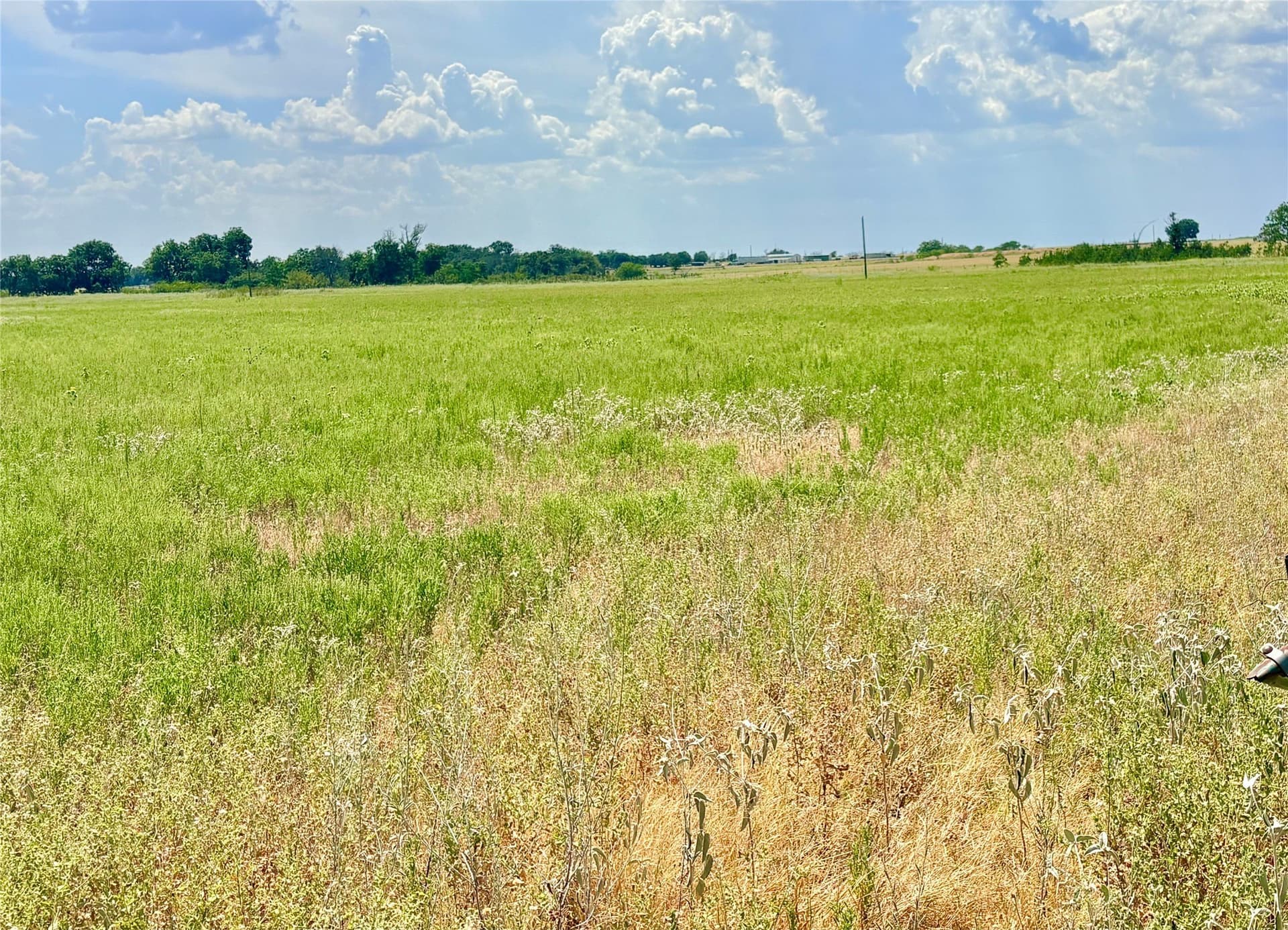 80 acres in Eastland County - photo 18