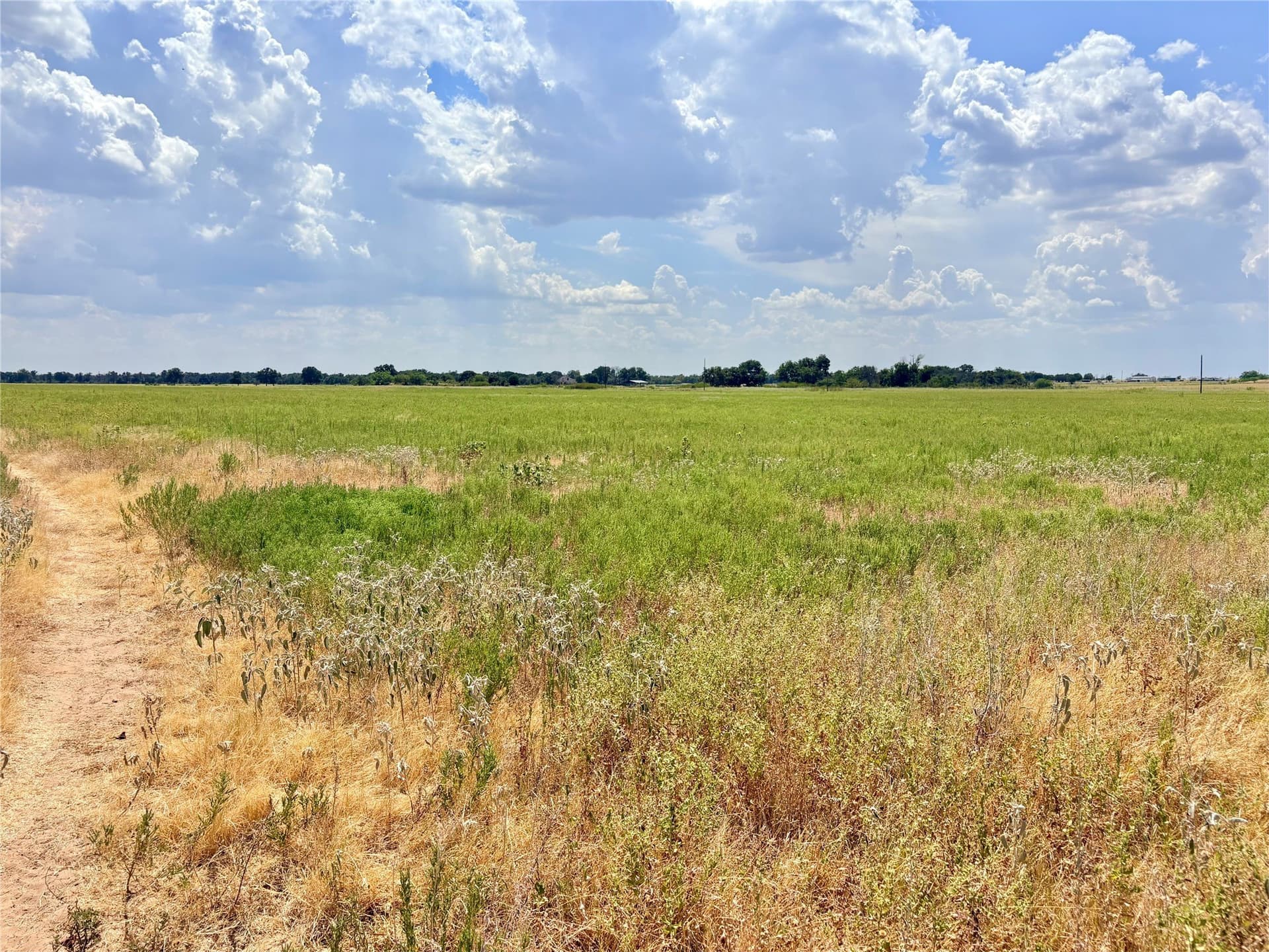 80 acres in Eastland County - photo 19