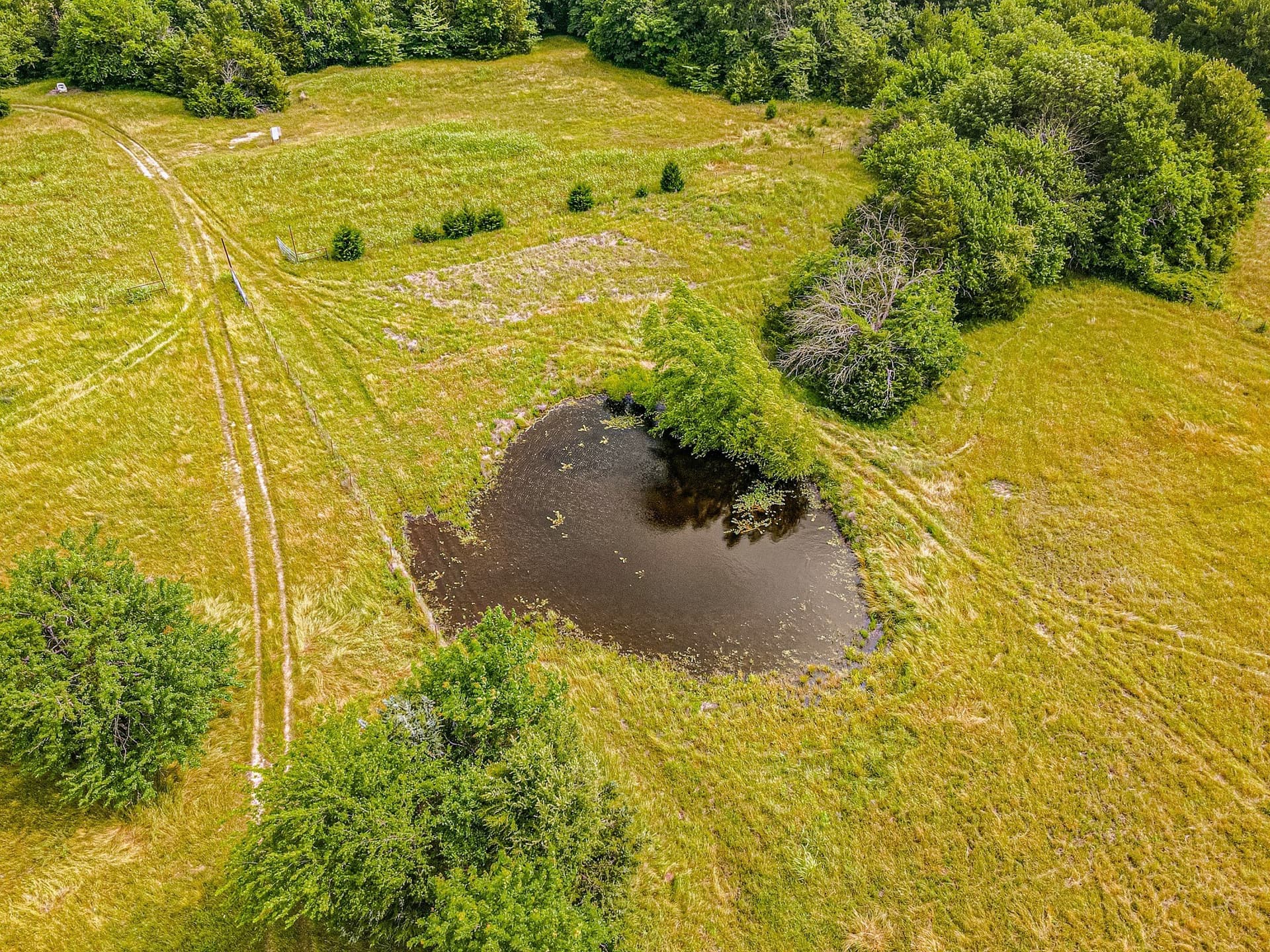 35 acres in Hunt County - photo 28