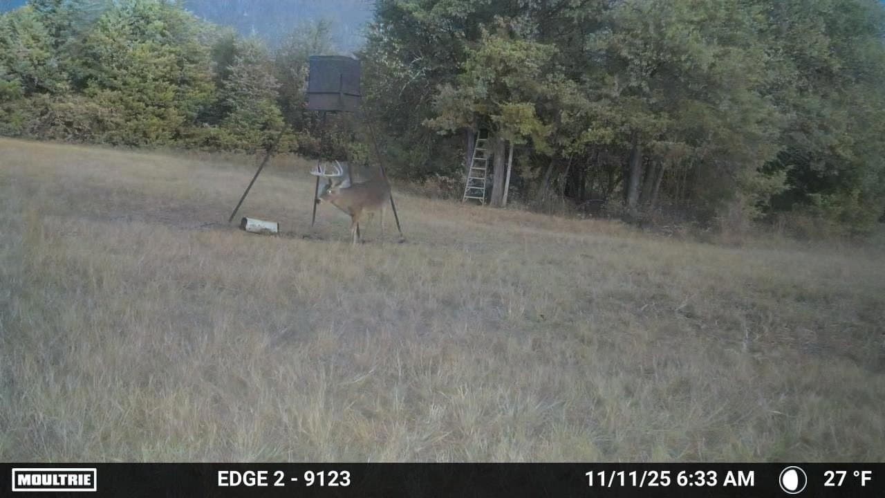 35 acres in Hunt County - photo 37
