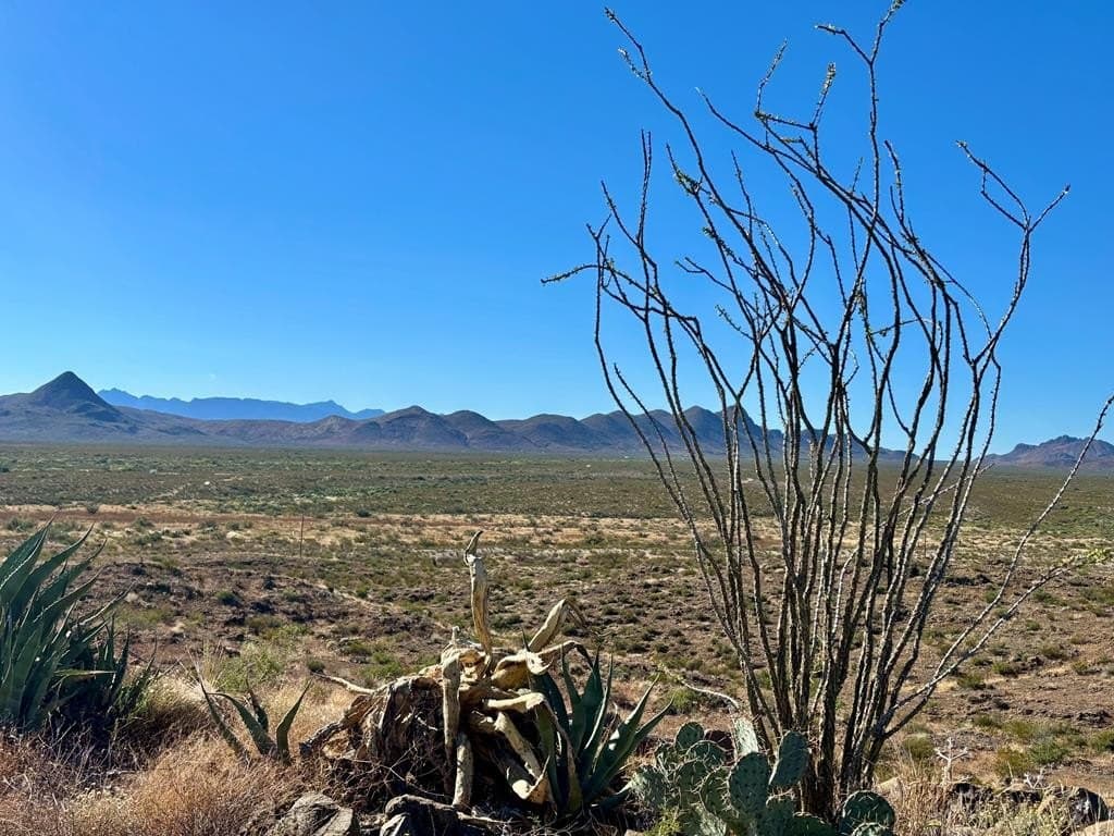 80 acres in Brewster County - photo 25