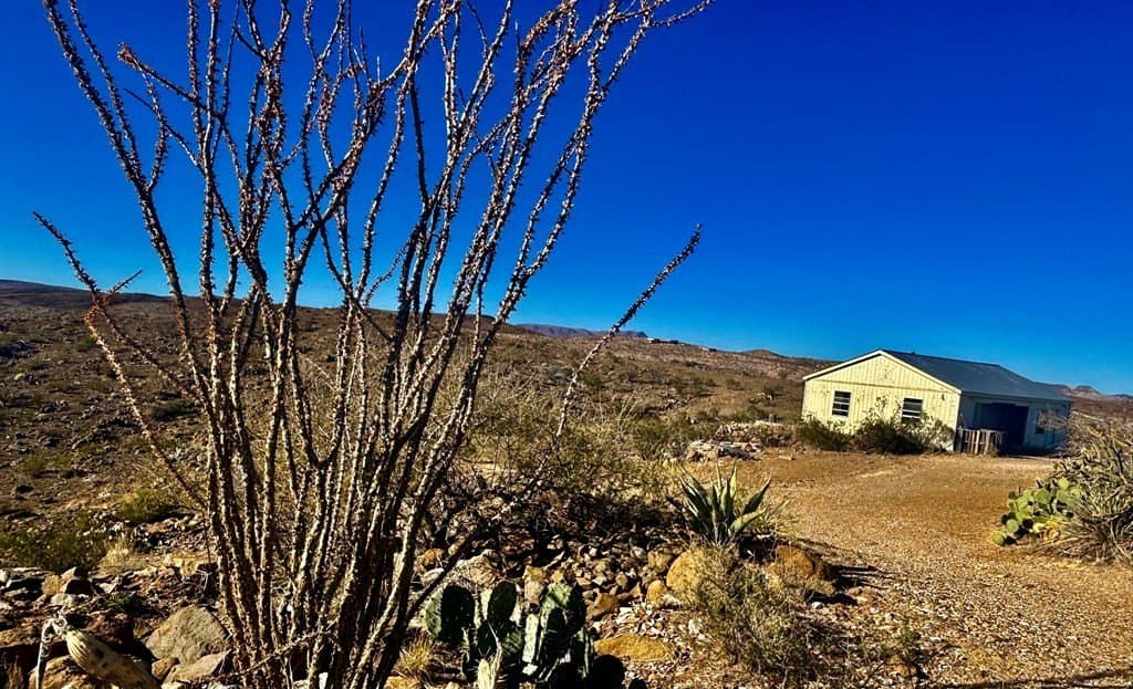 80 acres in Brewster County - photo 18