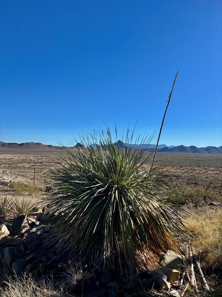 80 acres in Brewster County - photo 52