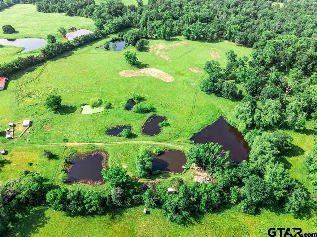 49.2 acres in Hopkins County - photo 19