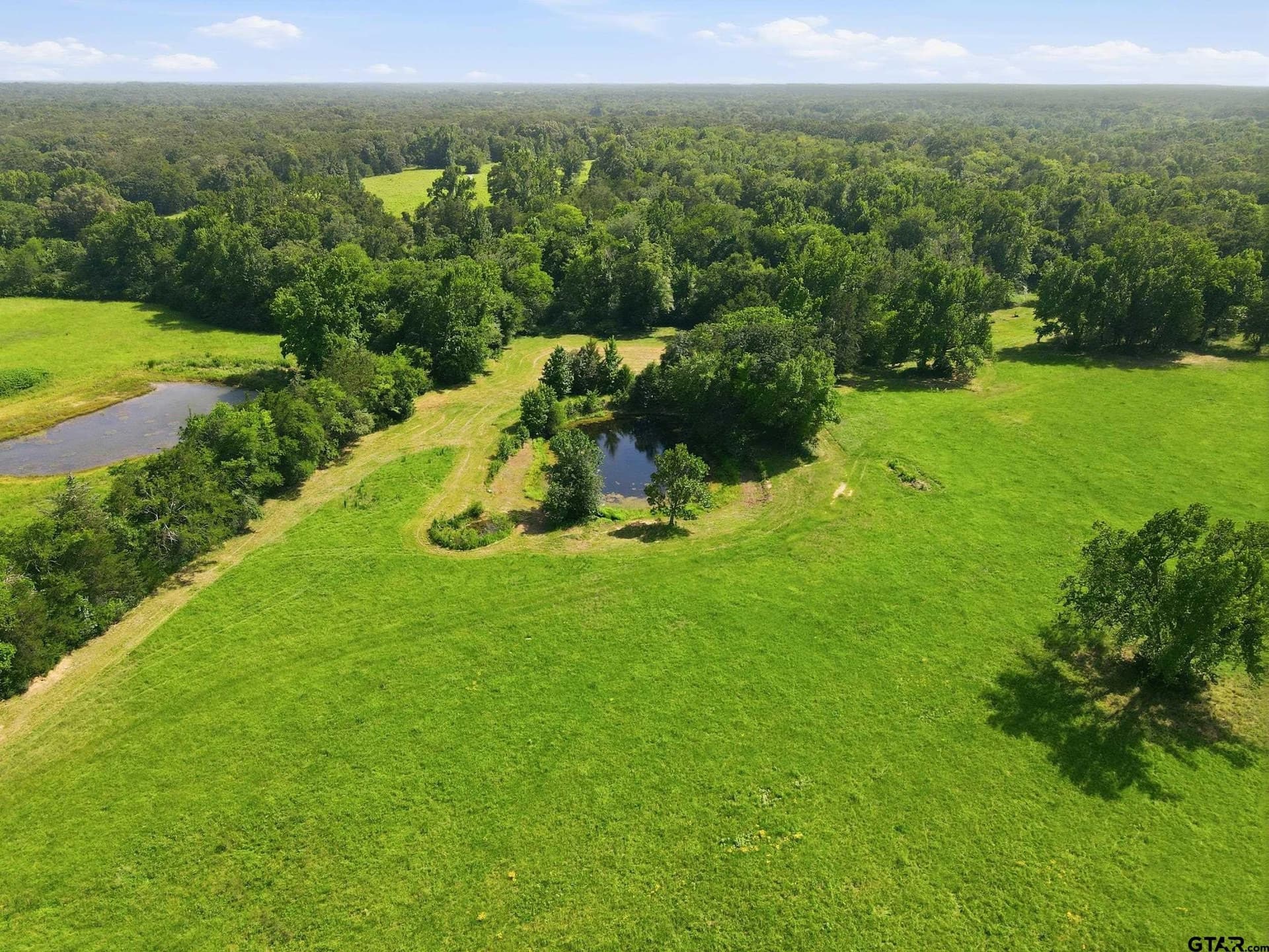 49.2 acres in Hopkins County - photo 35