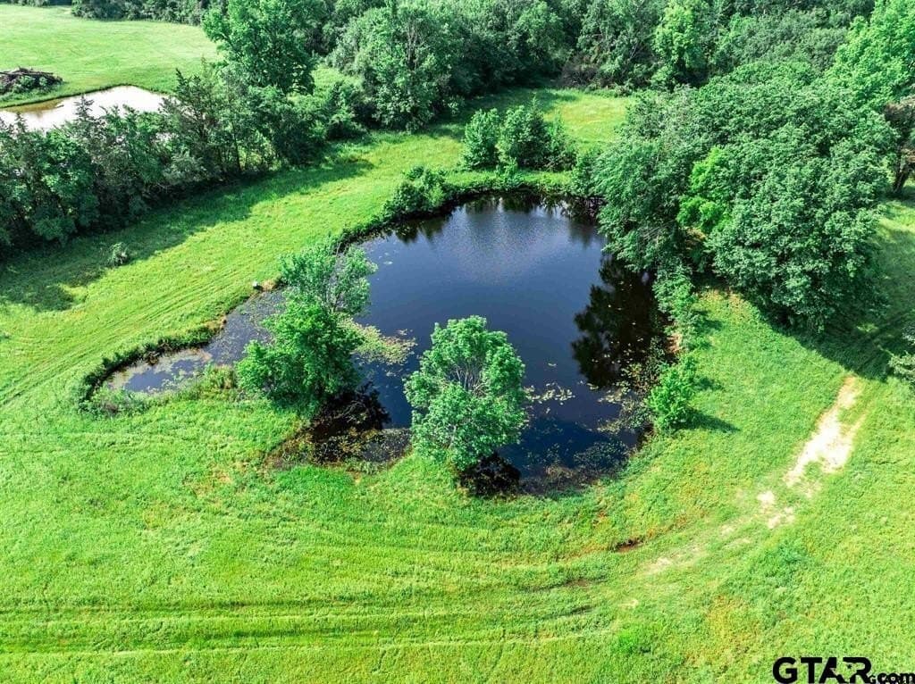 49.2 acres in Hopkins County - photo 29