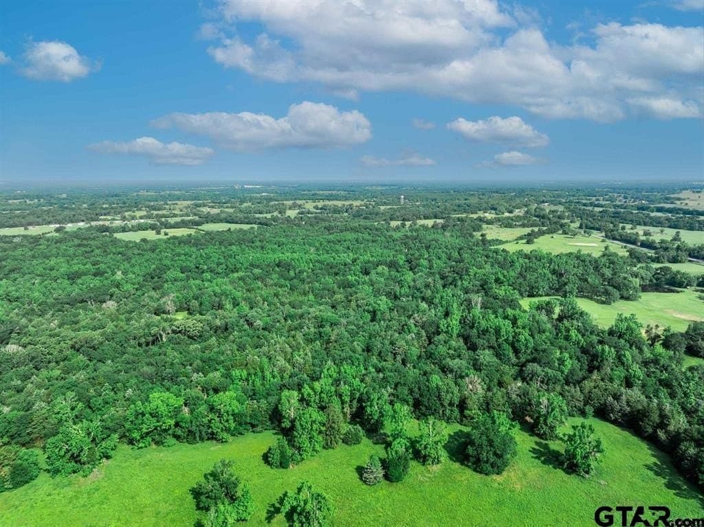 49.2 acres in Hopkins County - photo 17