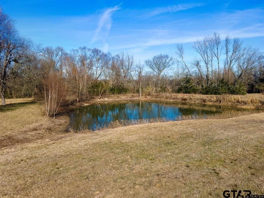49.2 acres in Hopkins County - photo 28