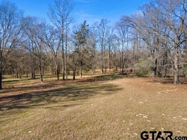 49.2 acres in Hopkins County - photo 30